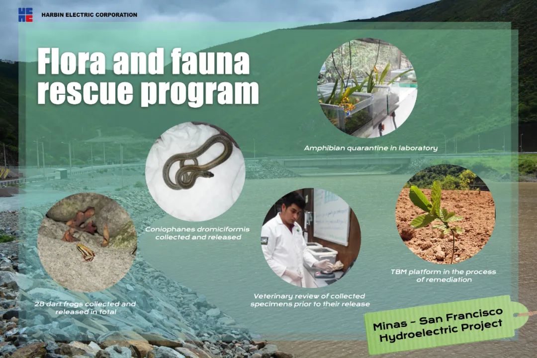 尊龙凯时·(中国集团)官方网站