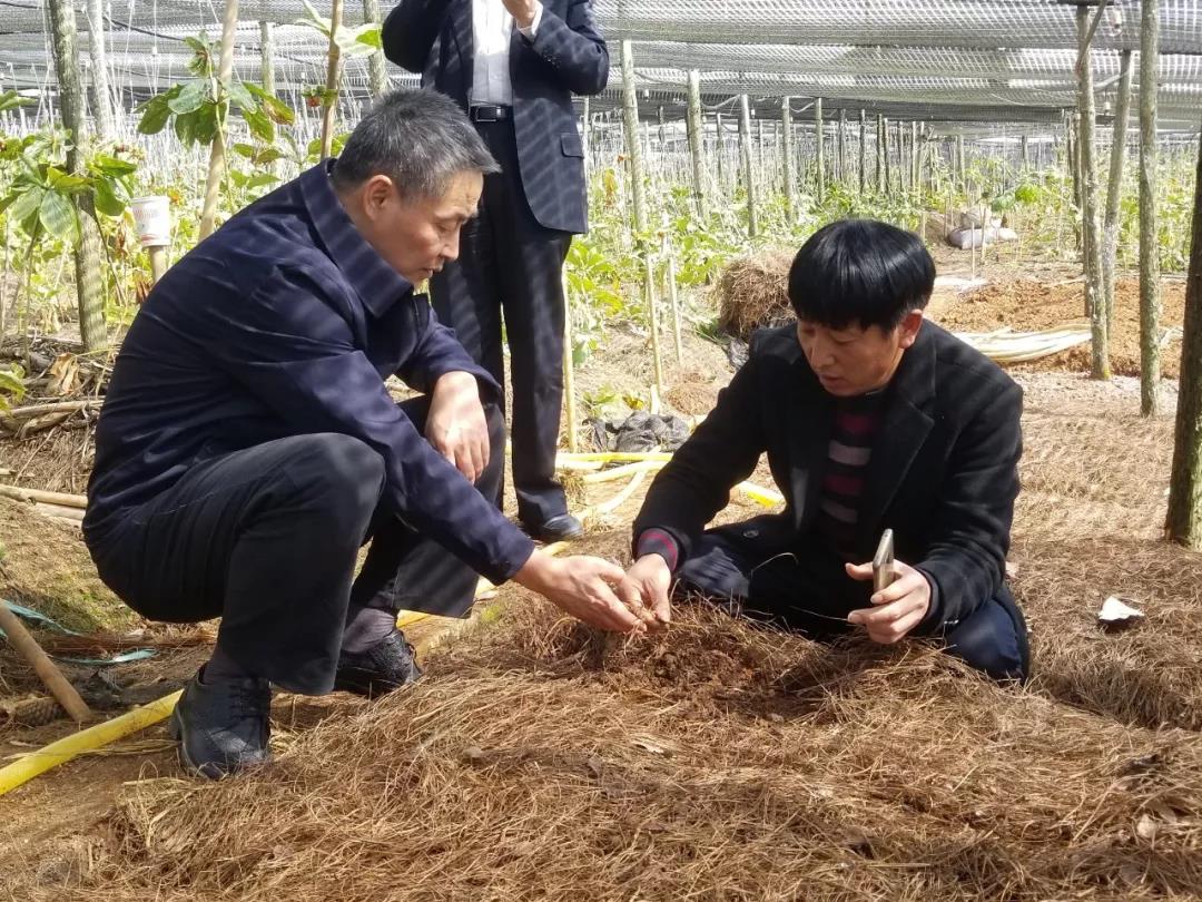 尊龙凯时·(中国集团)官方网站