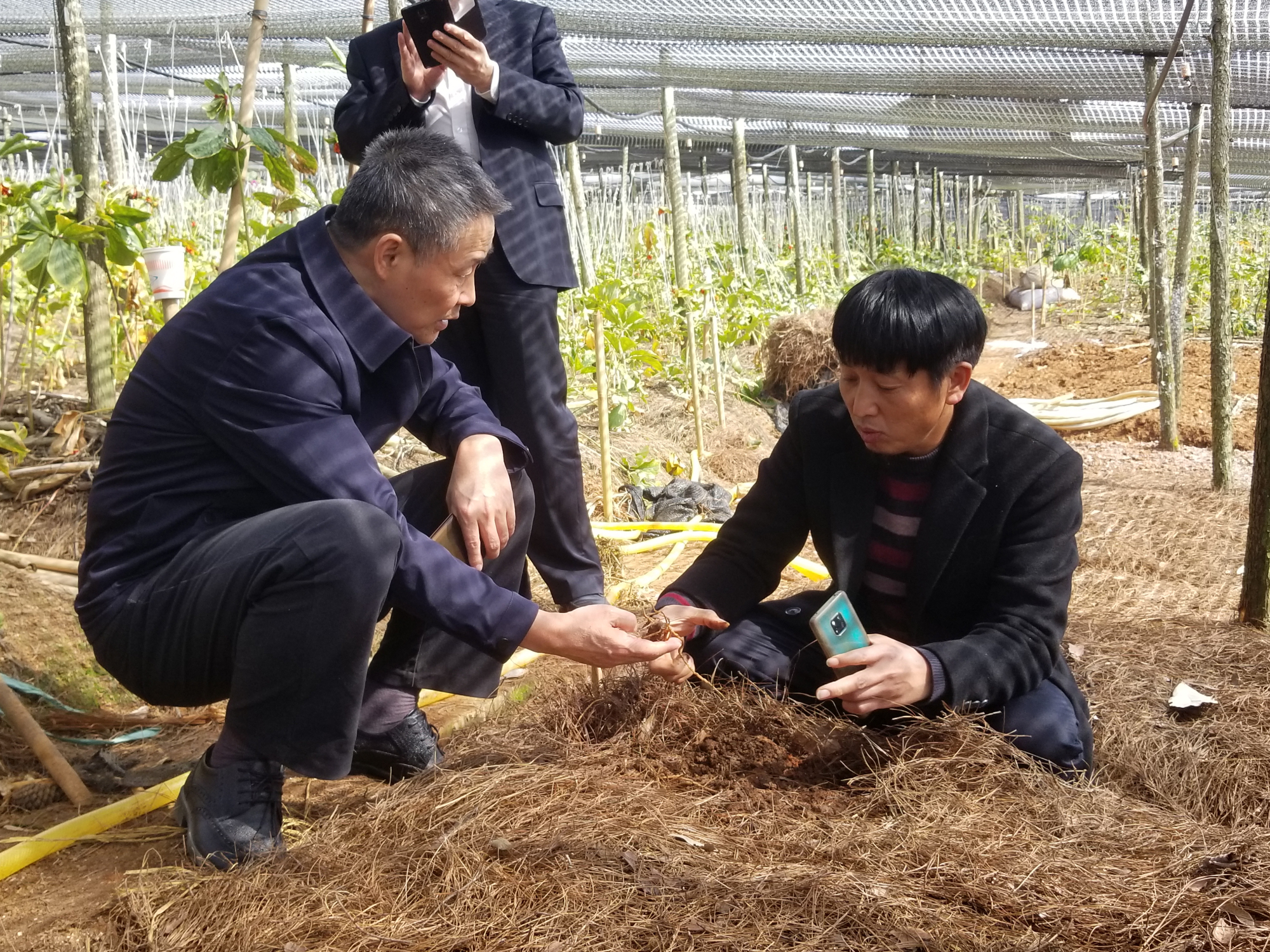 尊龙凯时·(中国集团)官方网站