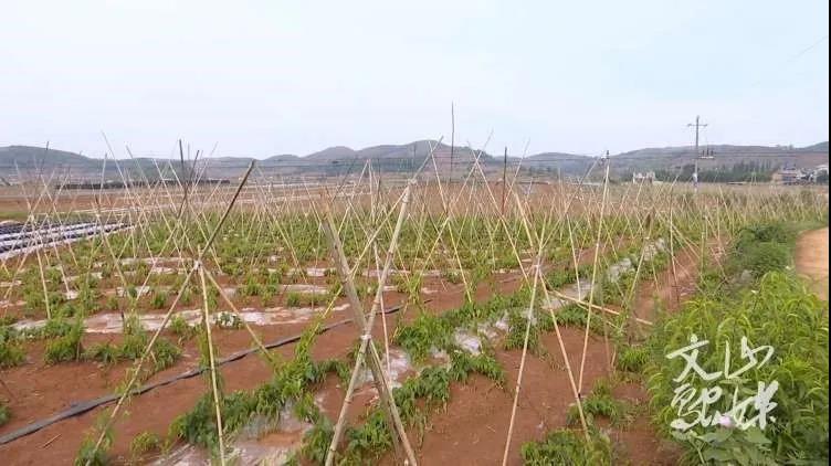 尊龙凯时·(中国集团)官方网站