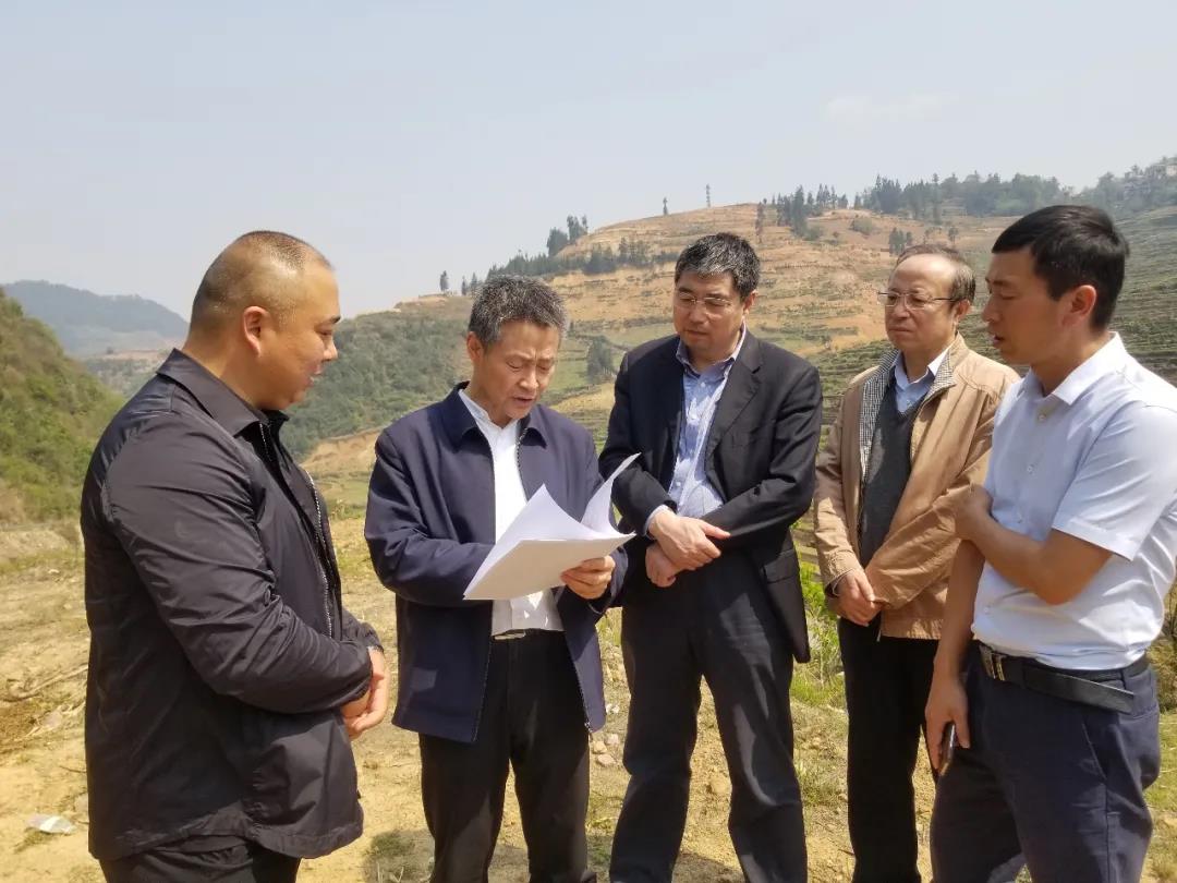 尊龙凯时·(中国集团)官方网站